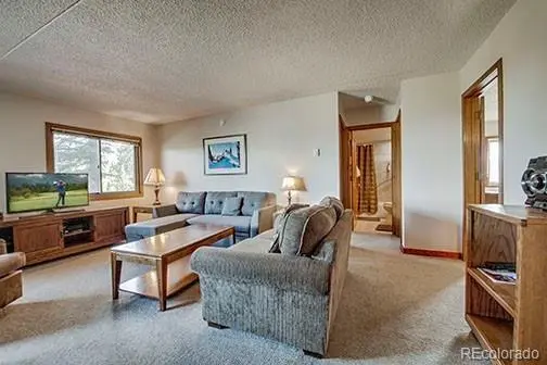 317 W La Bonte ST #107, Dillon, CO 80435