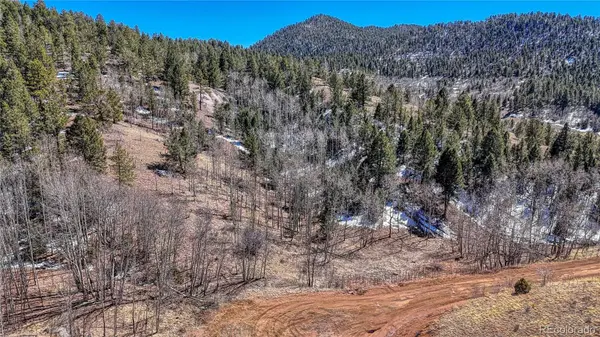 513 Last Dollar DR, Cripple Creek, CO 80813