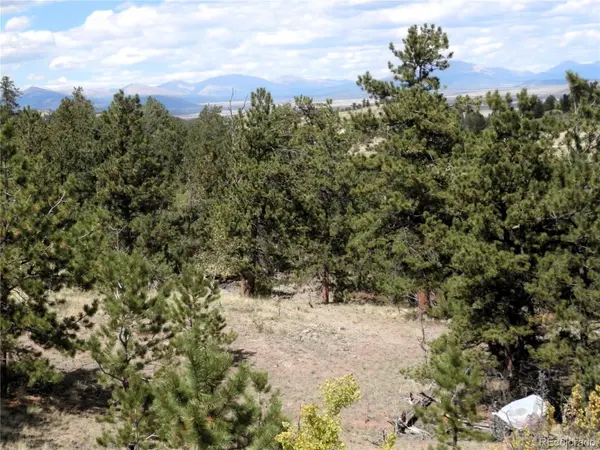 99 Pack Saddle CT, Hartsel, CO 80449