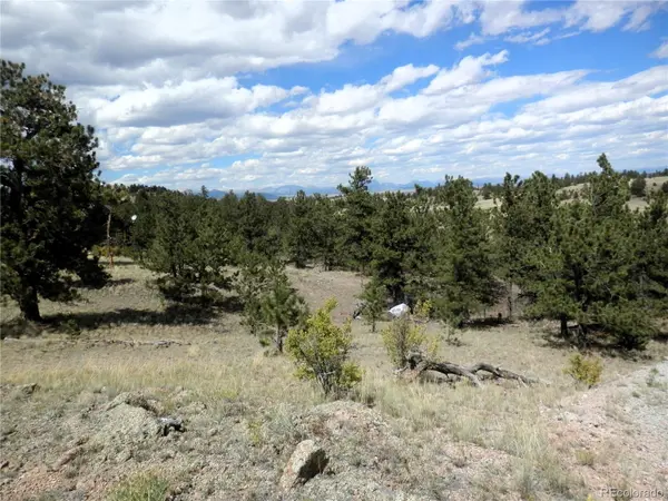 99 Pack Saddle CT, Hartsel, CO 80449
