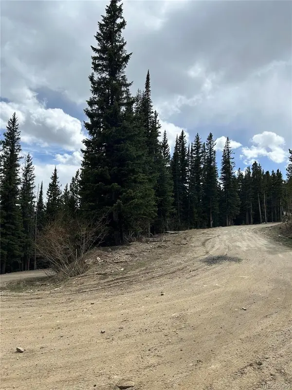 Texas CIR, Idaho Springs, CO 80452