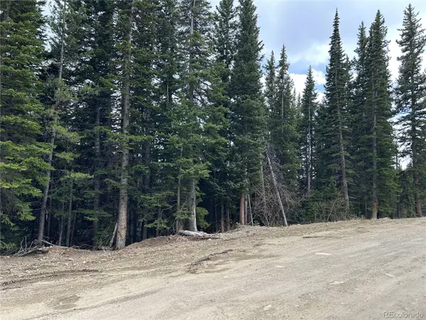 Texas CIR, Idaho Springs, CO 80452