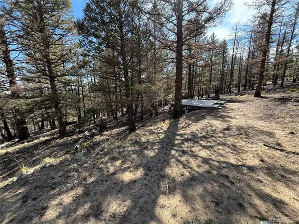 1980 Pitchfork RD, Hartsel, CO 80449