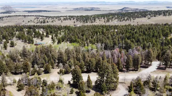 1980 Pitchfork RD, Hartsel, CO 80449
