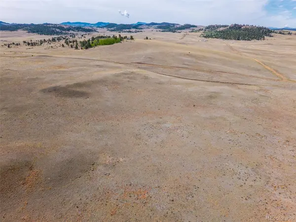 4429 Shawnee TRL, Hartsel, CO 80449