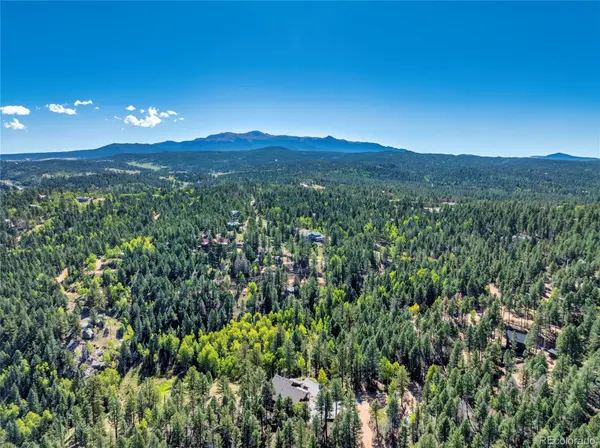 80 Feldspar RD, Florissant, CO 80816