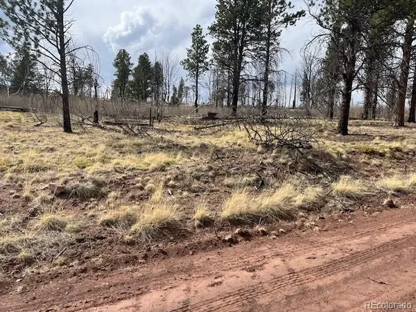 Lot 686 Cogbill DR, Fort Garland, CO 81133