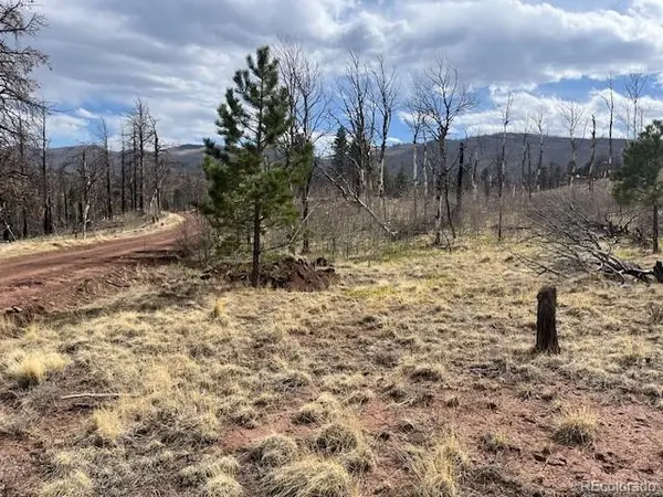 Lot 686 Cogbill DR, Fort Garland, CO 81133