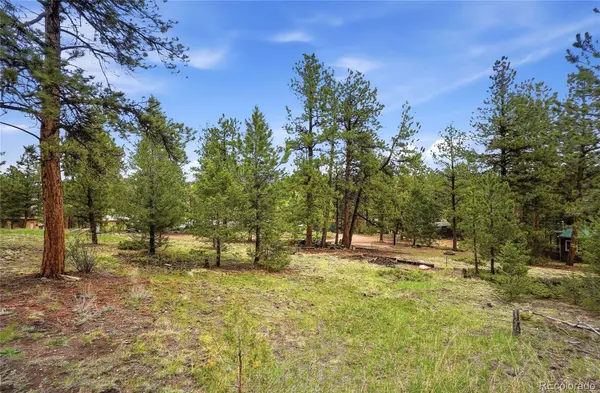 14032 S Olive AVE, Pine, CO 80470