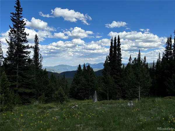 Hilltop RD, Idaho Springs, CO 80452