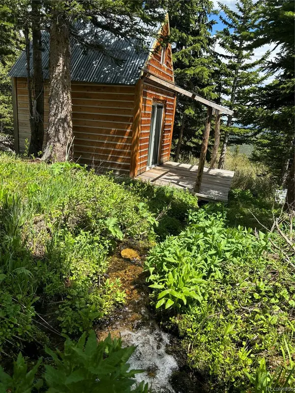 Hilltop RD, Idaho Springs, CO 80452
