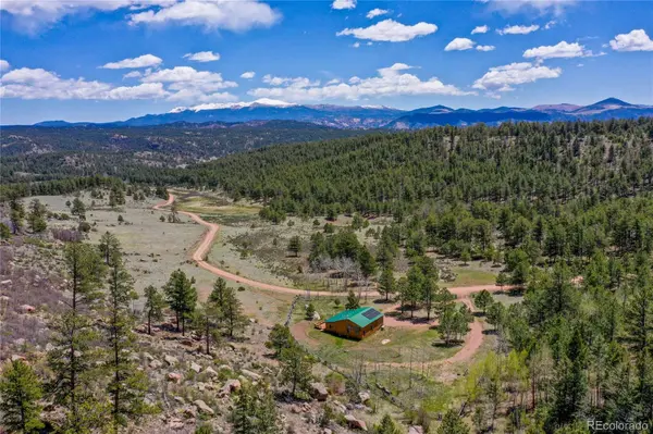 437 Langnis RD, Guffey, CO 80820