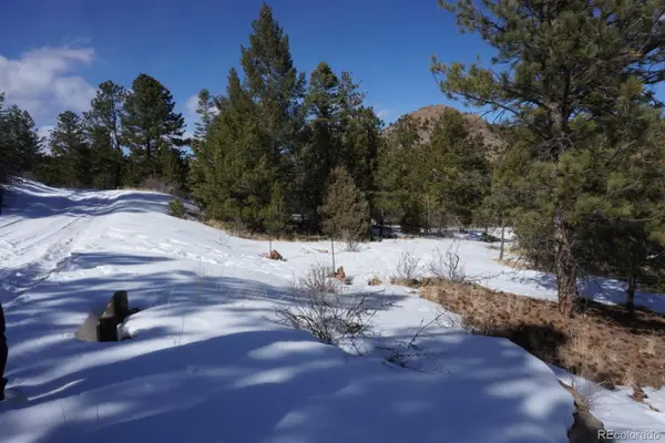 2871 Marcey RD, Westcliffe, CO 81252