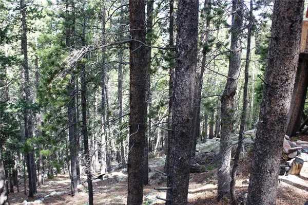 3504 Hidden Wilderness RD, Idaho Springs, CO 80439