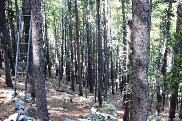 3504 Hidden Wilderness RD, Idaho Springs, CO 80439