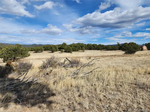 Pinon, Cotopaxi, CO 81223