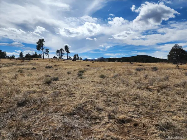 Pinon, Cotopaxi, CO 81223