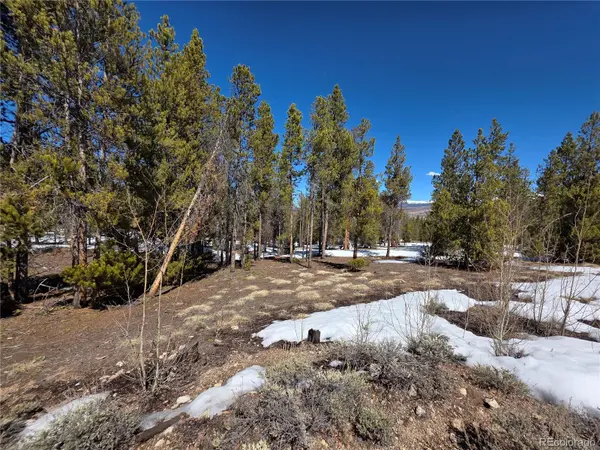379 Lodgepole DR, Twin Lakes, CO 81251