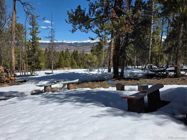 379 Lodgepole DR, Twin Lakes, CO 81251