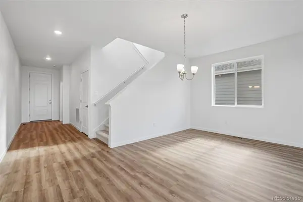 1436 Boyle ST, Windsor, CO 80550