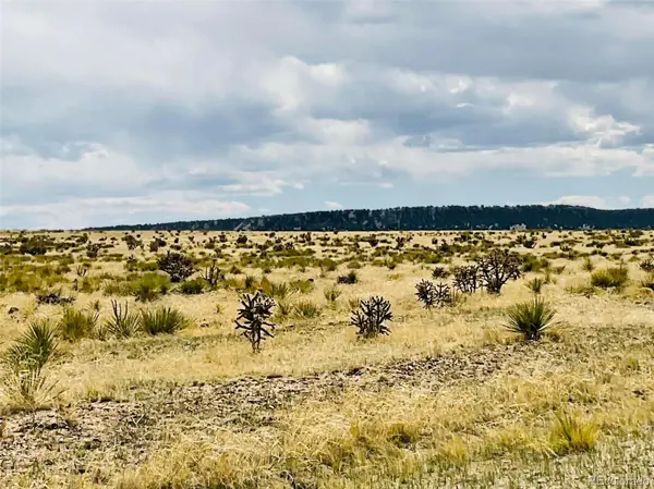 Lot 239 Turkey Ridge Ranch, Walsenburg, CO 81089