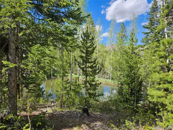 134 Mad Moose LN, Grand Lake, CO 80447