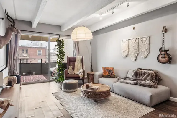 1255 N Ogden ST #205, Denver, CO 80218