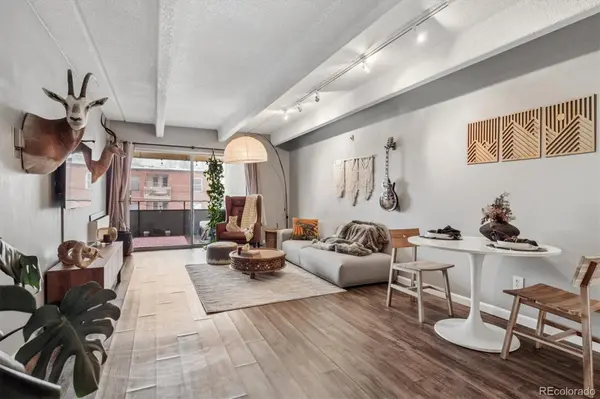 1255 N Ogden ST #205, Denver, CO 80218