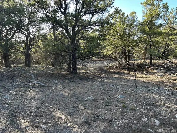 3821 Virtue WAY, Crestone, CO 81131