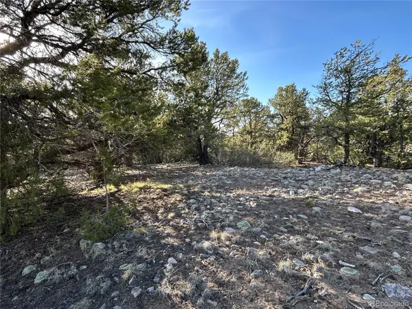 3821 Virtue WAY, Crestone, CO 81131