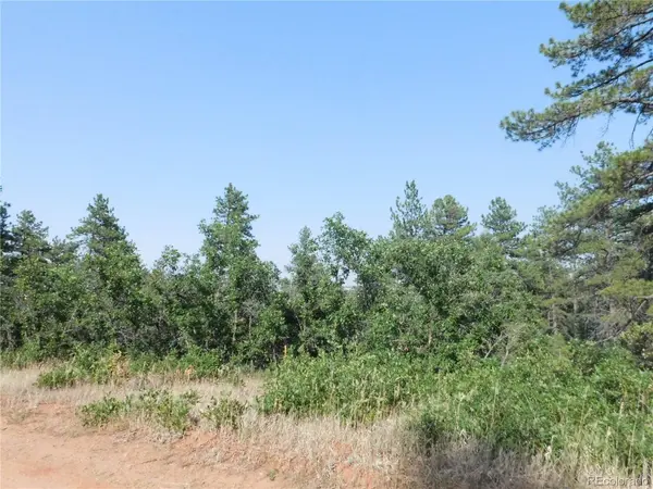 8122 Acoma DR, Larkspur, CO 80118