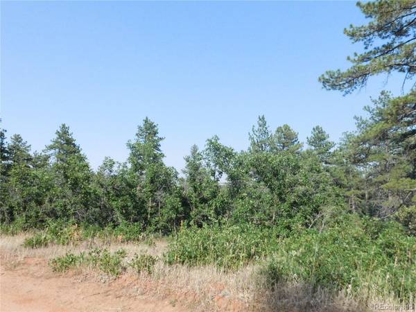 8122 Acoma DR, Larkspur, CO 80118