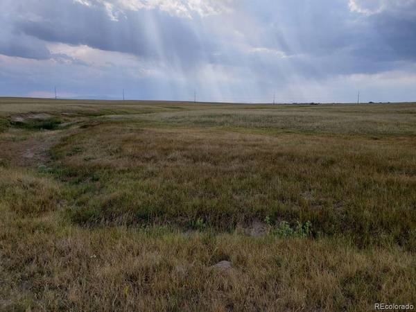 8155 Cowboy Ranch VW, Peyton, CO 80831