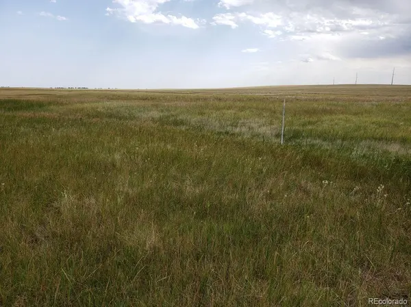 8155 Cowboy Ranch VW, Peyton, CO 80831