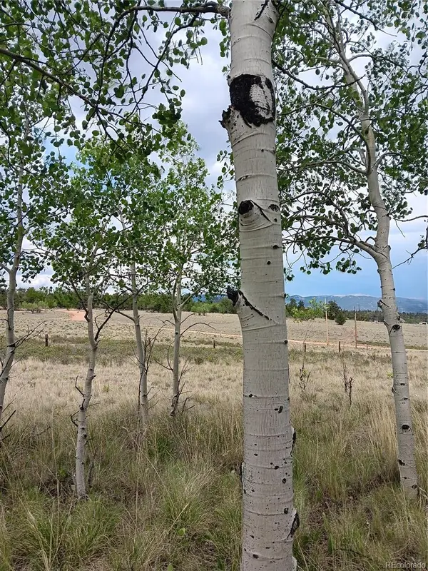 258 Puma LN, Jefferson, CO 80456
