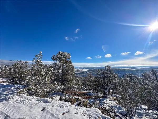 Greenwood AVE, Crawford, CO 81415