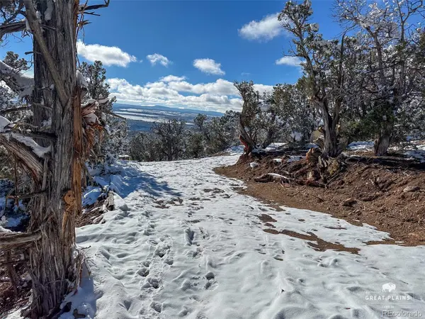 Greenwood AVE, Crawford, CO 81415