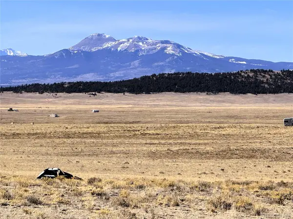 1561 Hinsdale RD, Hartsel, CO 80449