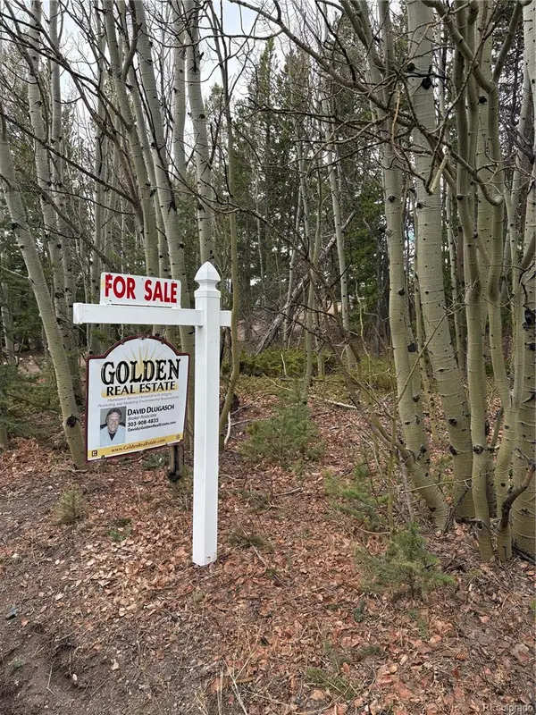 34251 Skyline DR, Golden, CO 80403