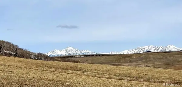 1245 Coochee TRL, Guffey, CO 80820