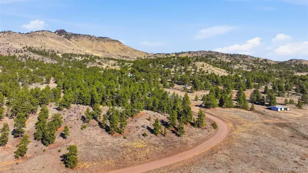 50 Stage Coach RD, Guffey, CO 80820
