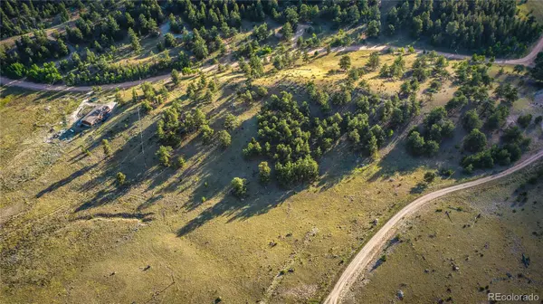 1300 Bridle PATH, Hartsel, CO 80449