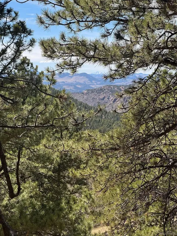 288 Troy DR, Cripple Creek, CO 80813