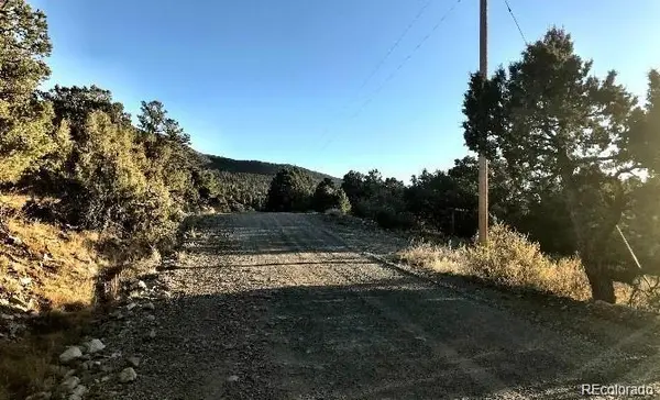 233 Lake Of The Falls Pkwy, Mosca, CO 81146