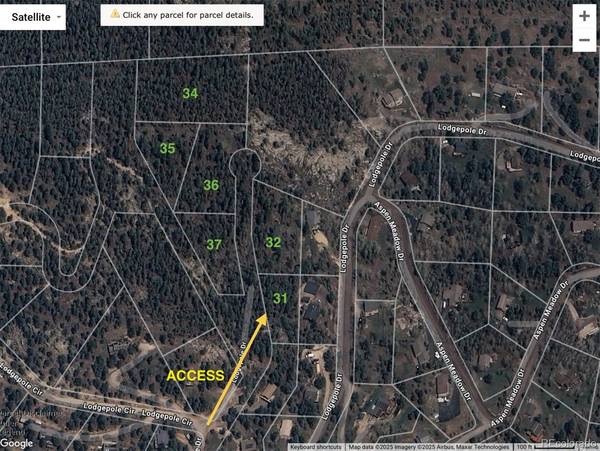 32561 Lodgepole DR, Evergreen, CO 80439