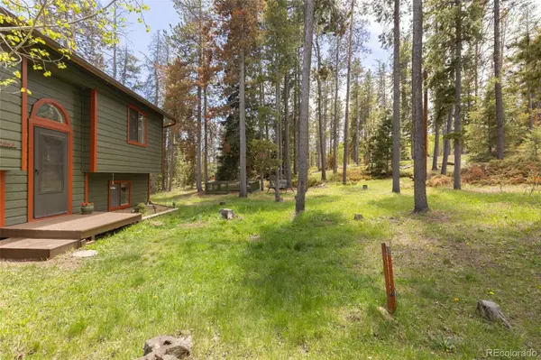 10868 Norton AVE, Conifer, CO 80433