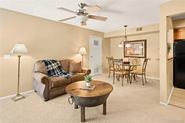 1890 Argentine ST #303, Georgetown, CO 80444