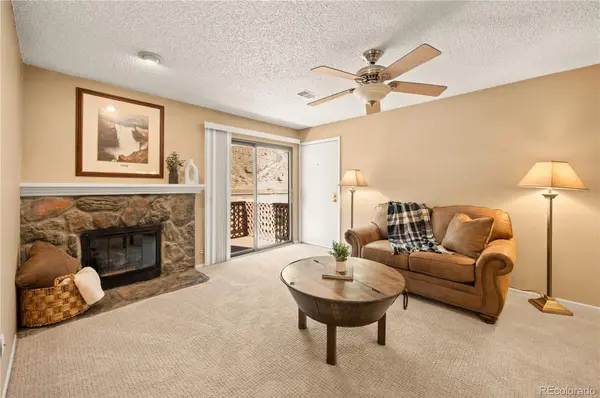 1890 Argentine ST #303, Georgetown, CO 80444