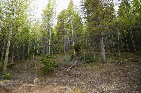 000 Trail Creek RD, Idaho Springs, CO 80452