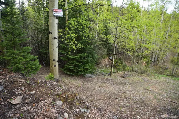 000 Trail Creek RD, Idaho Springs, CO 80452